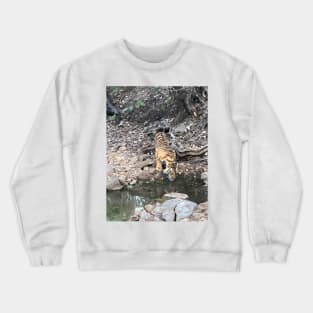 Tiger 4 Crewneck Sweatshirt